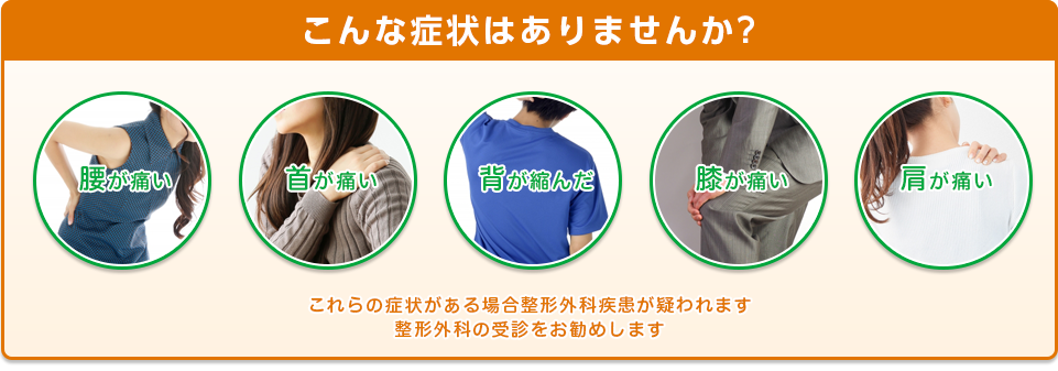 こんな症状はありませんか? 腰が痛い 首が痛い 背が縮んだ 膝が痛い 肩が痛い これらの症状がある場合整形外科疾患が疑われます整形外科の受診をお勧めします